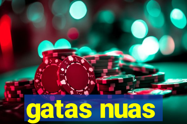 gatas nuas